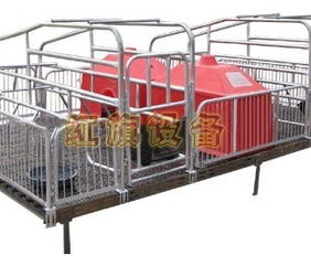 安平縣紅旗養(yǎng)豬設備廠 專注于養(yǎng)殖設備供應的可靠合作伙伴